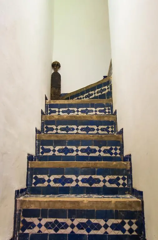 פס Riad Taha מרוקו