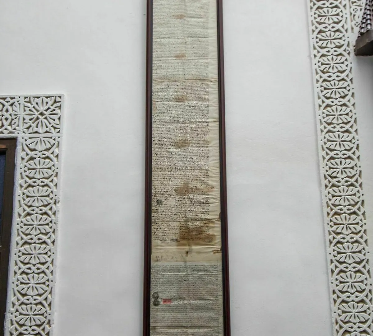פס Riad Taha